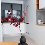 Anise Apartamento *