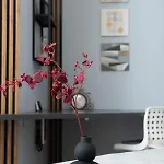 Anise Apartamento