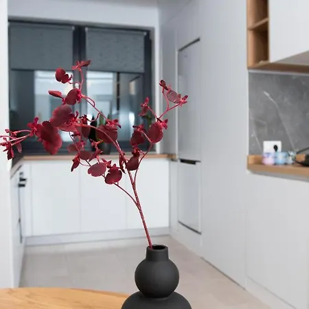 Anise Apartamento *