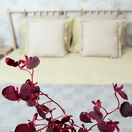 Anise Bucarest