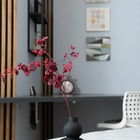Anise Apartamento