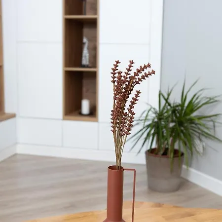 Anise Apartamento