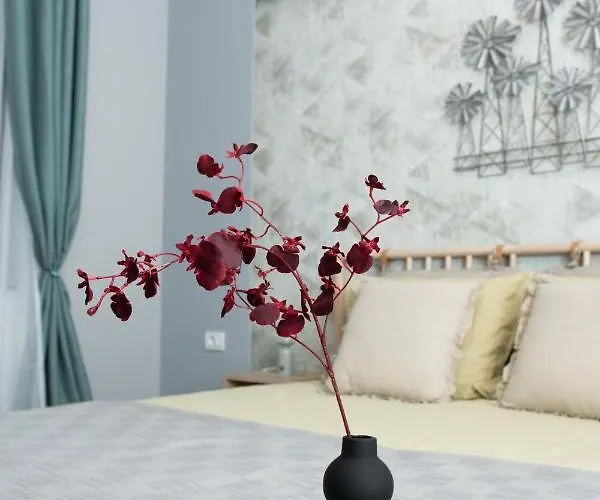 Anise 부쿠레슈티