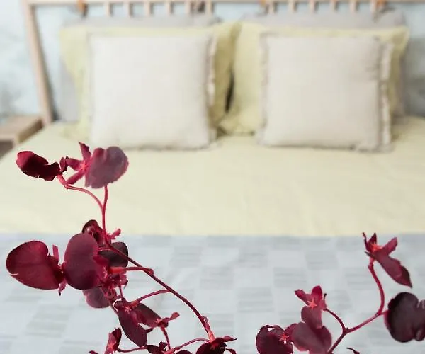 Anise 부쿠레슈티