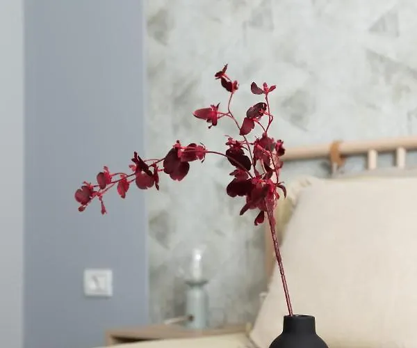 公寓 Anise 布加勒斯特
