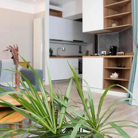 Anise Apartment