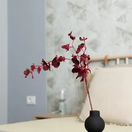Apartment Anise Bucharest