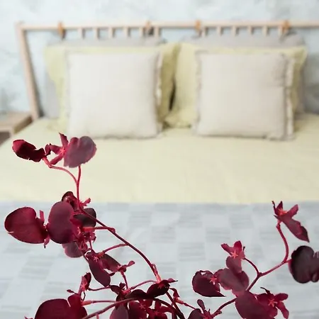 Anise Bucharest