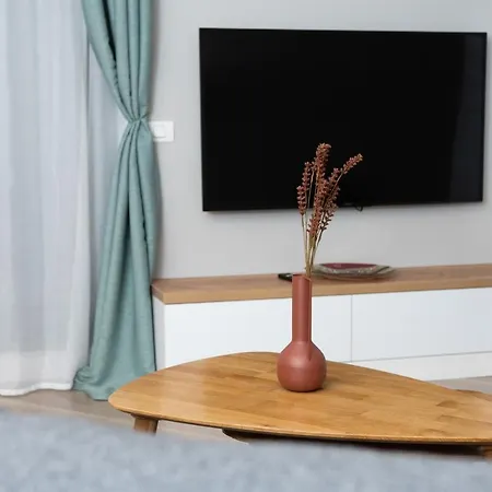 Apartment Anise